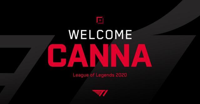 国乒女单的 国乒女单的